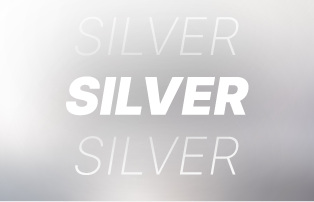 india-founders-program-recognition-silver india-founders-program-recognition-silver